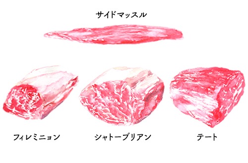 牛ヒレ肉を4分割したそれぞれの部位。